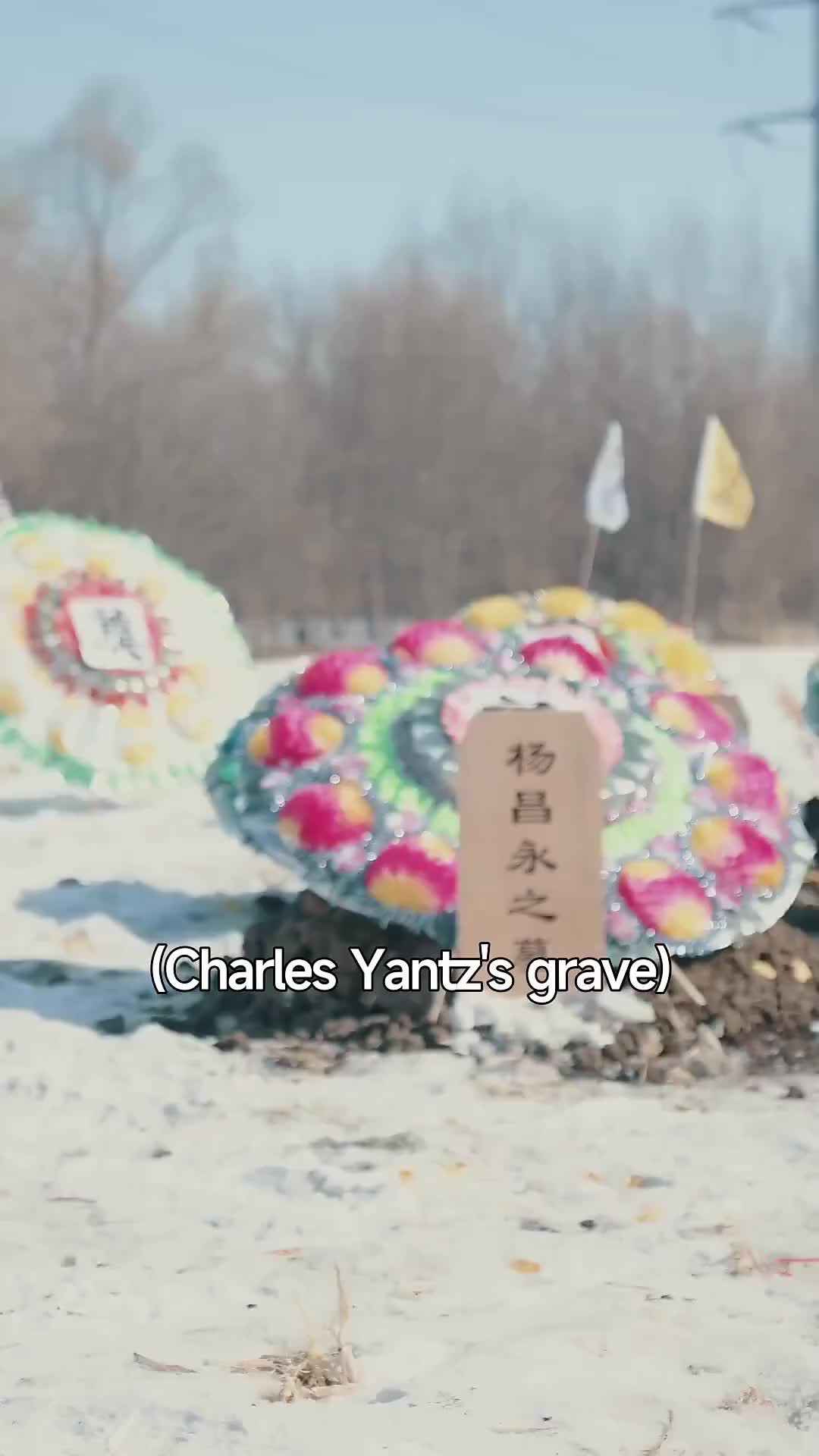 Ep 7