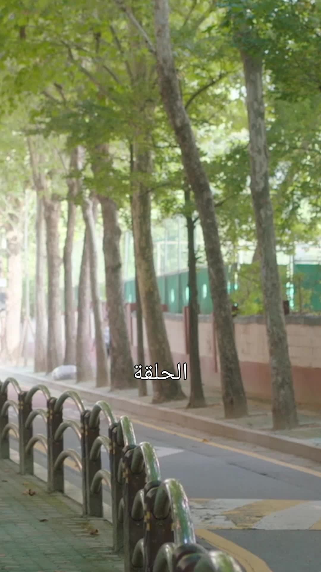 شخص أحببته 1مجموعة