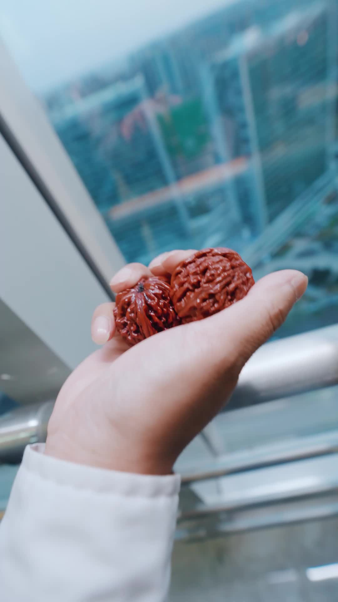 神级钓鱼佬 第6集