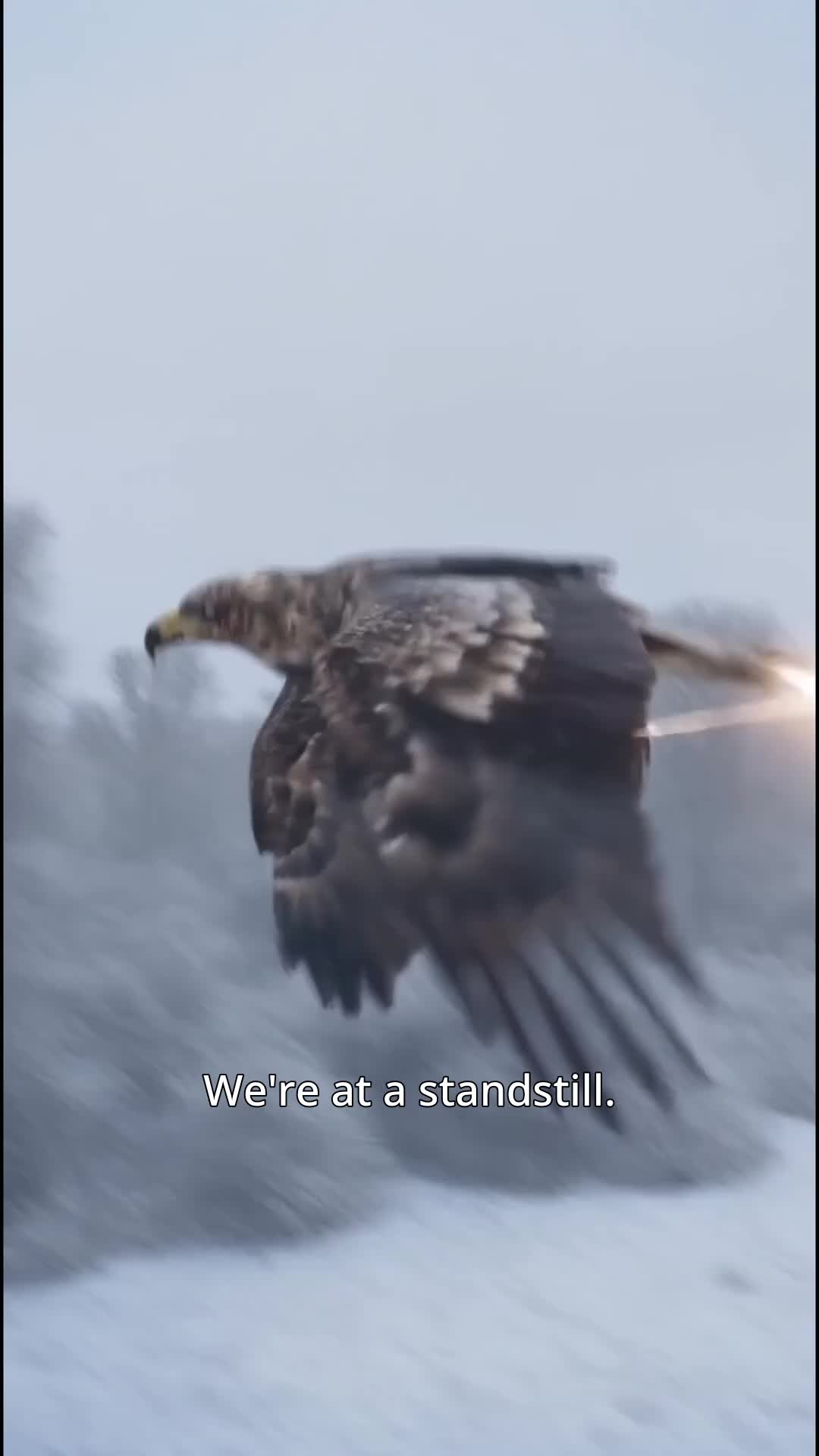 Ep 42