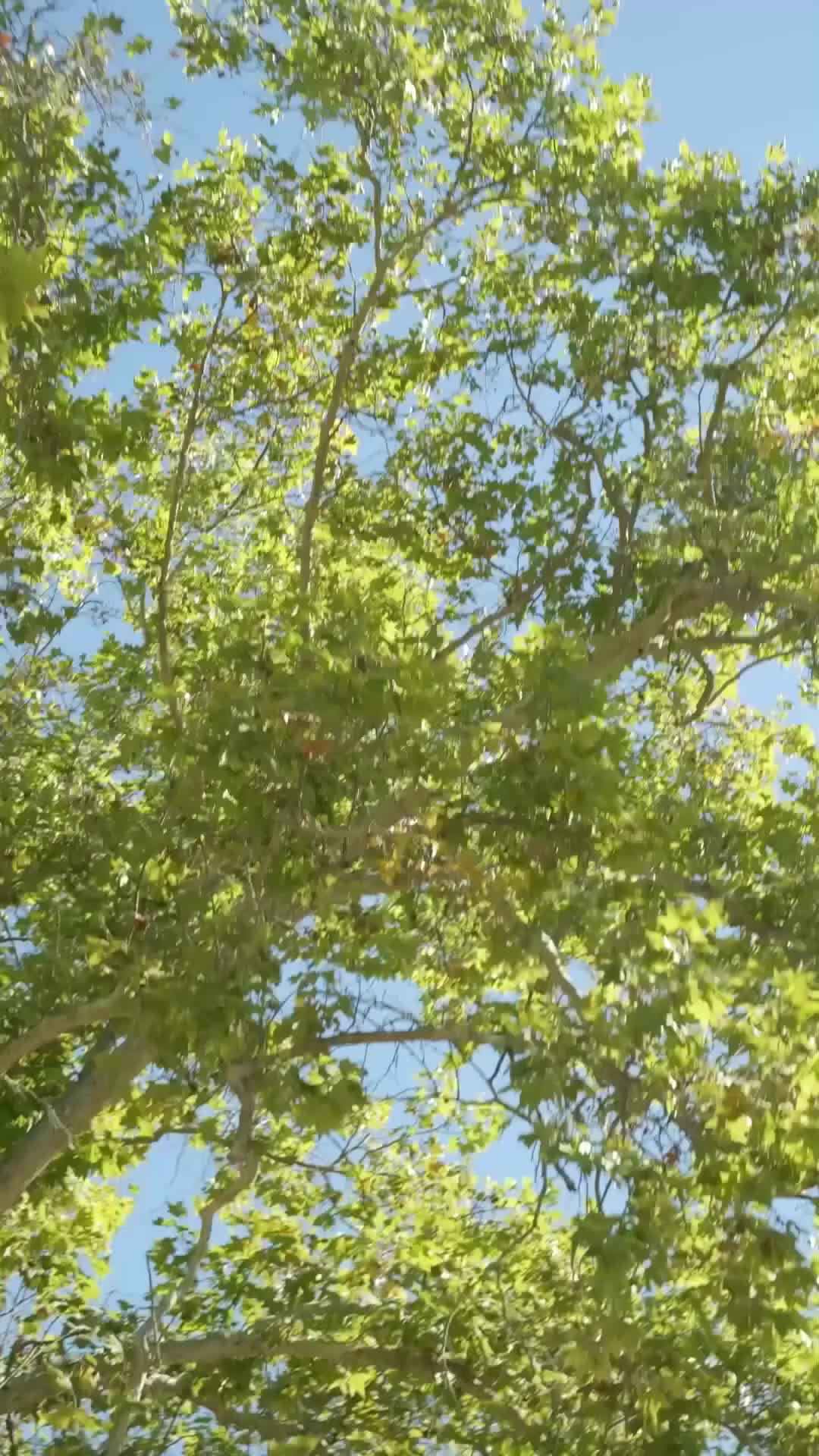 Istriku Tercinta yang Hebat - Episode 1 - Episode 1