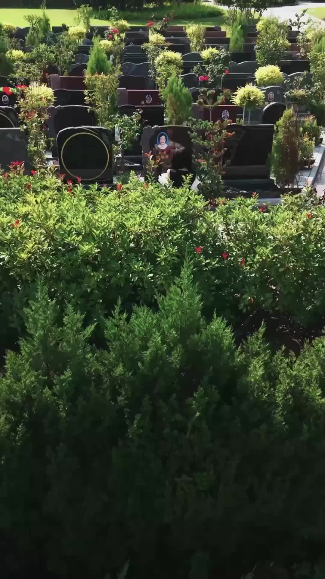 Ep 55