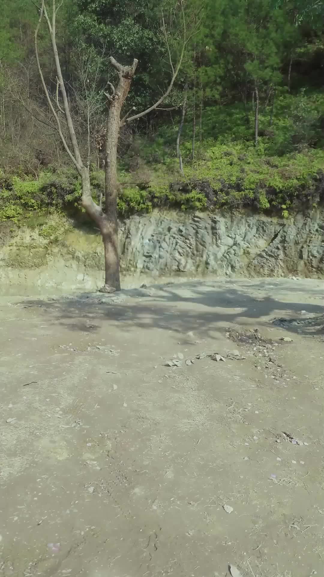 Ep 31
