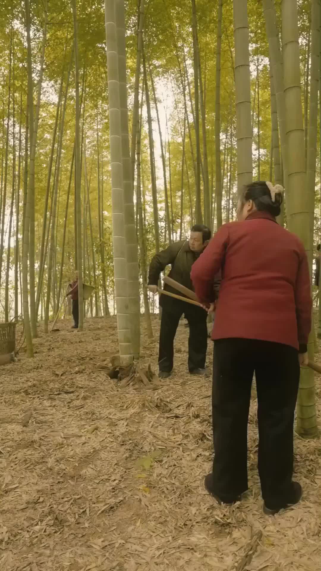 El Efecto Dominó de la Bondad Episodio 9