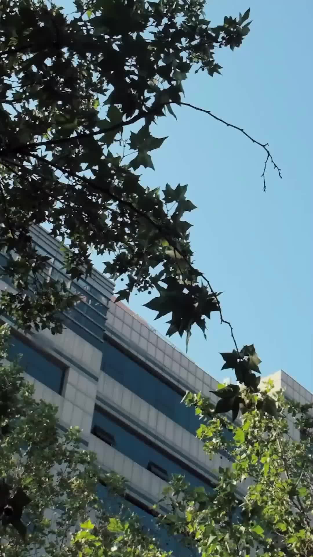 Ep 10