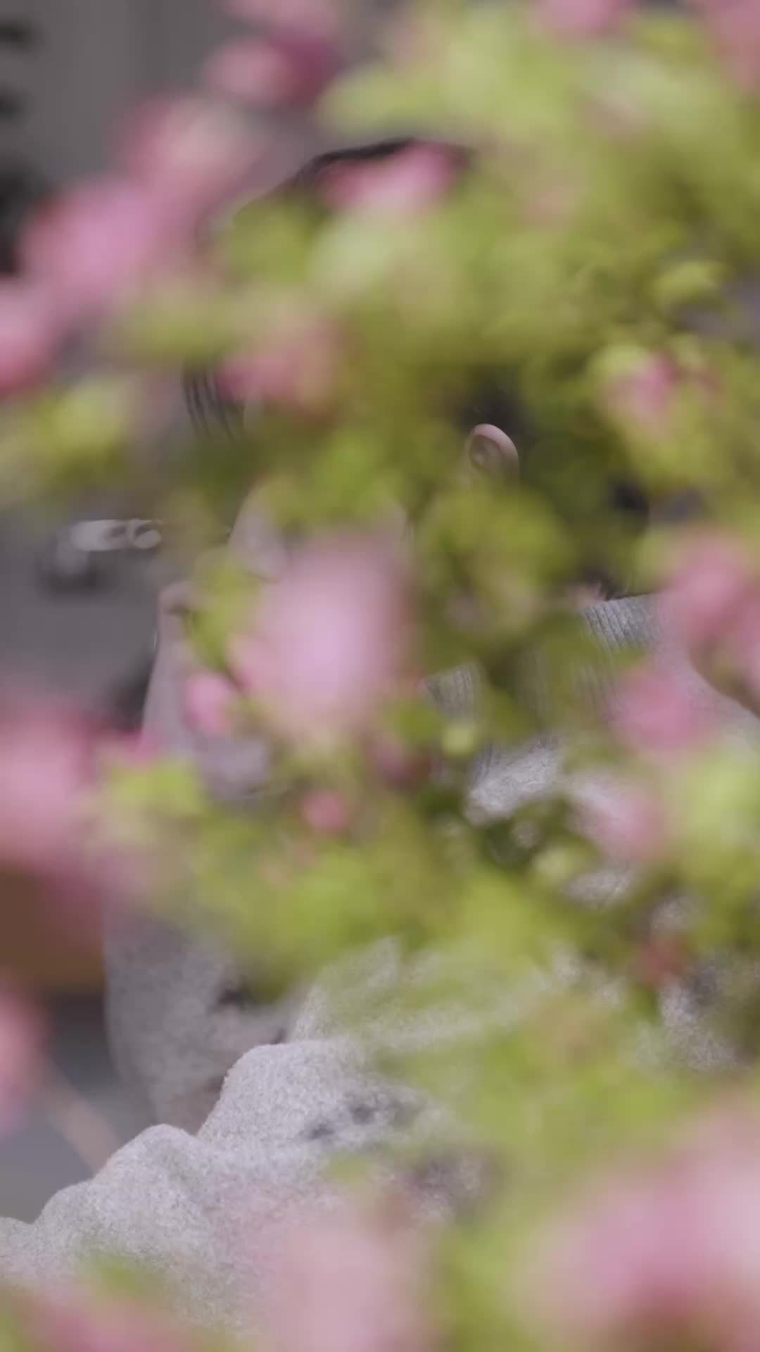你去陪白月光吧，我要迎娶京圈公主了 第1集