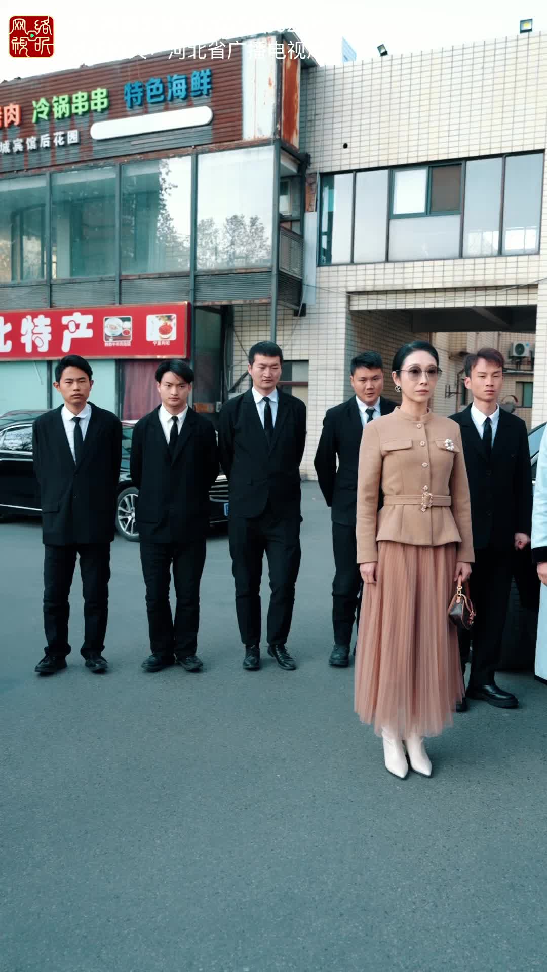 蛇年大吉之婚不可挡 第4集