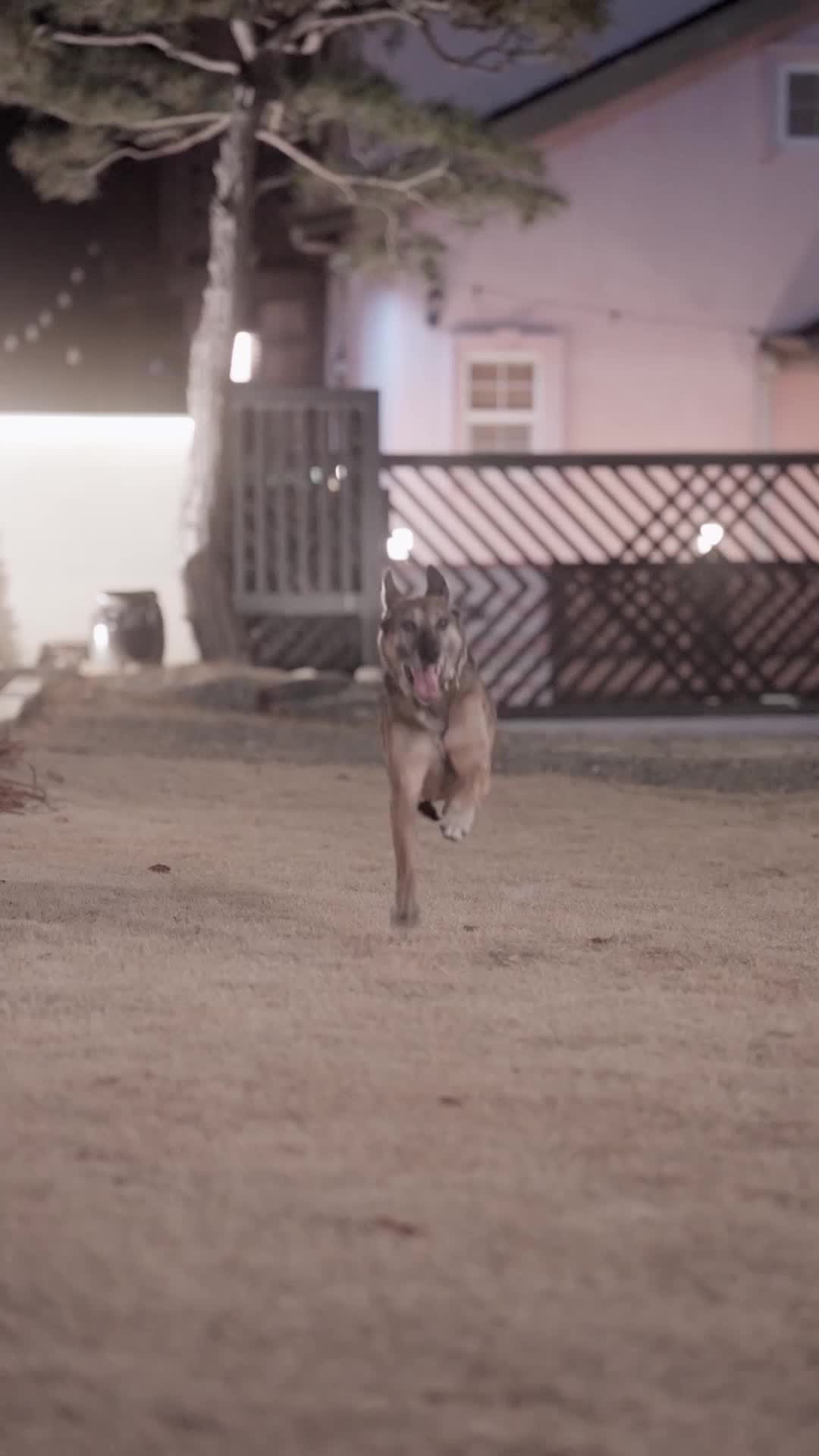 Ep 11