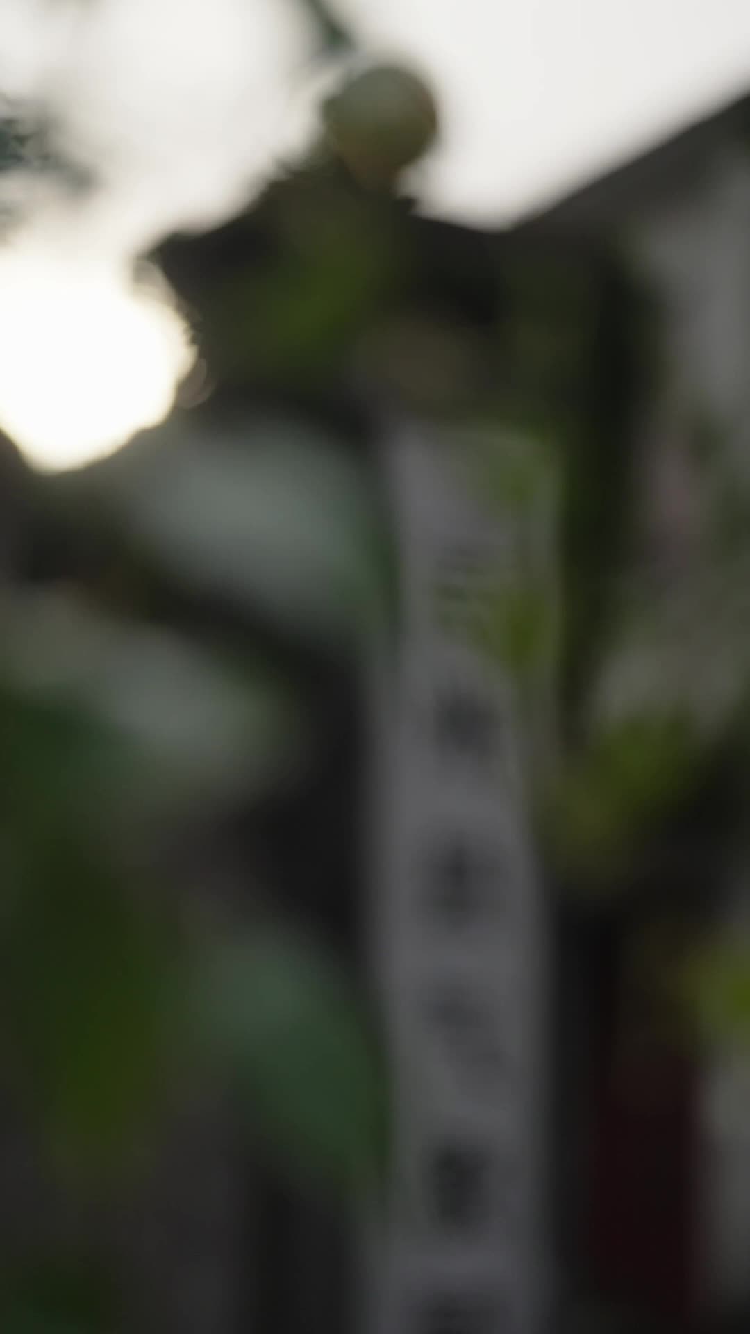 大梁敗家子 第1集