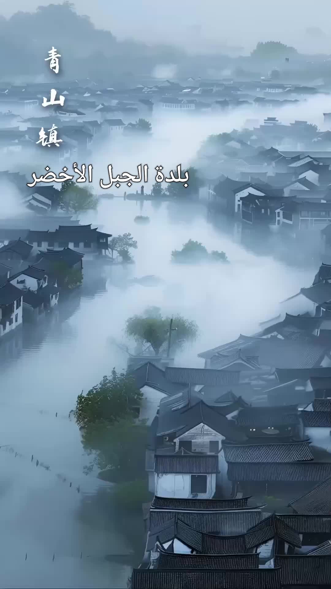 ازدهار السلالة وبناء أقوى عائلة خالدة (مدبلج) 1مجموعة