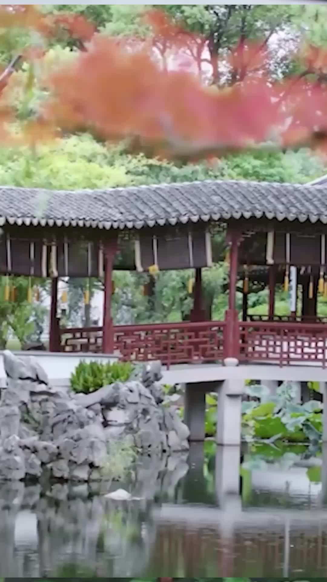 转身又见海棠开 第5集