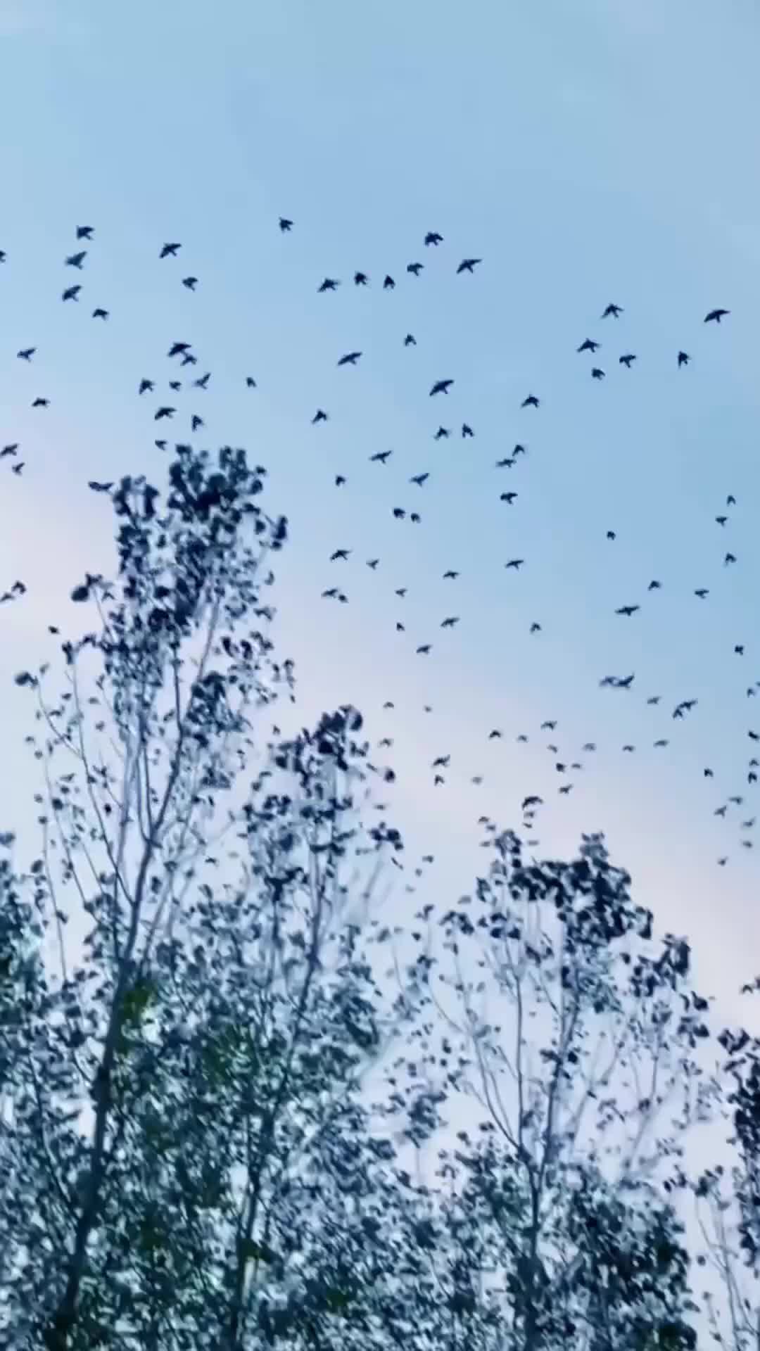 Ep 1