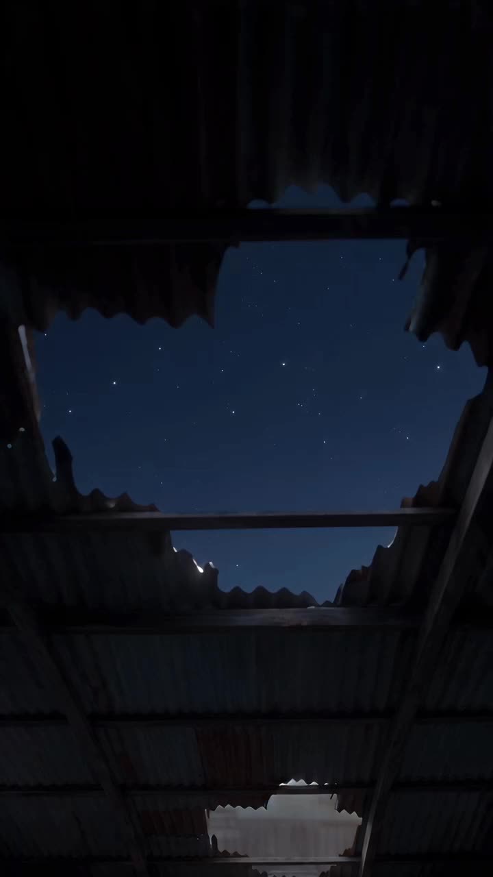 我有六個黃毛爹 第4集