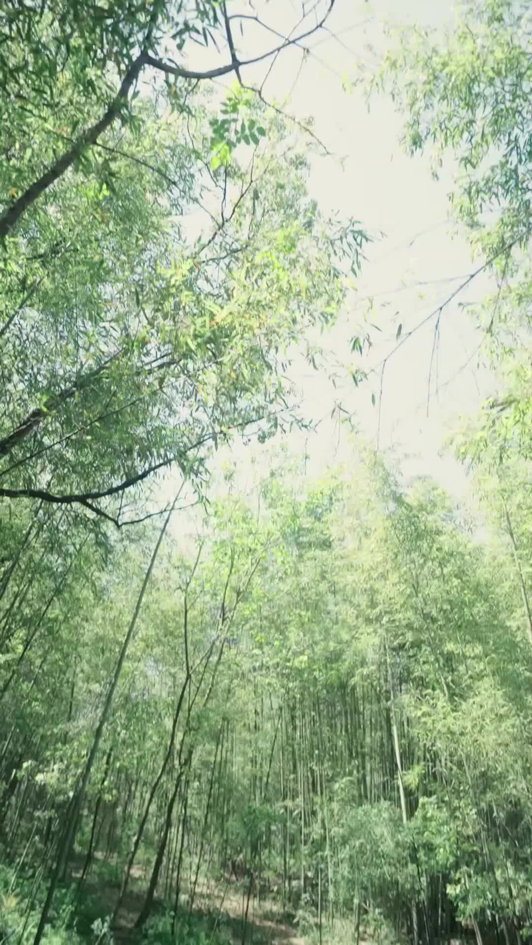 Ep 6