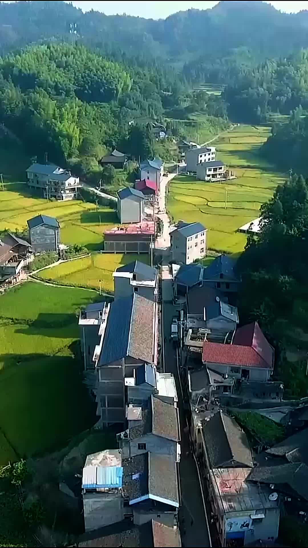 黑月光归来后，她追悔莫及 第1集