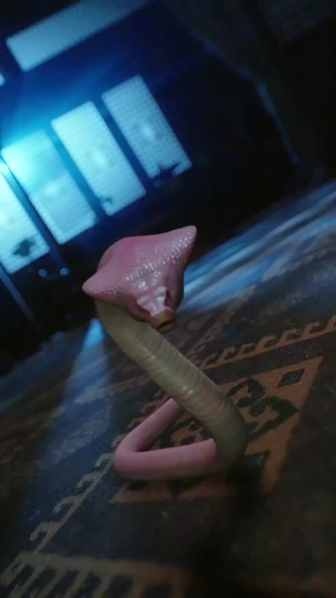 Ep 28