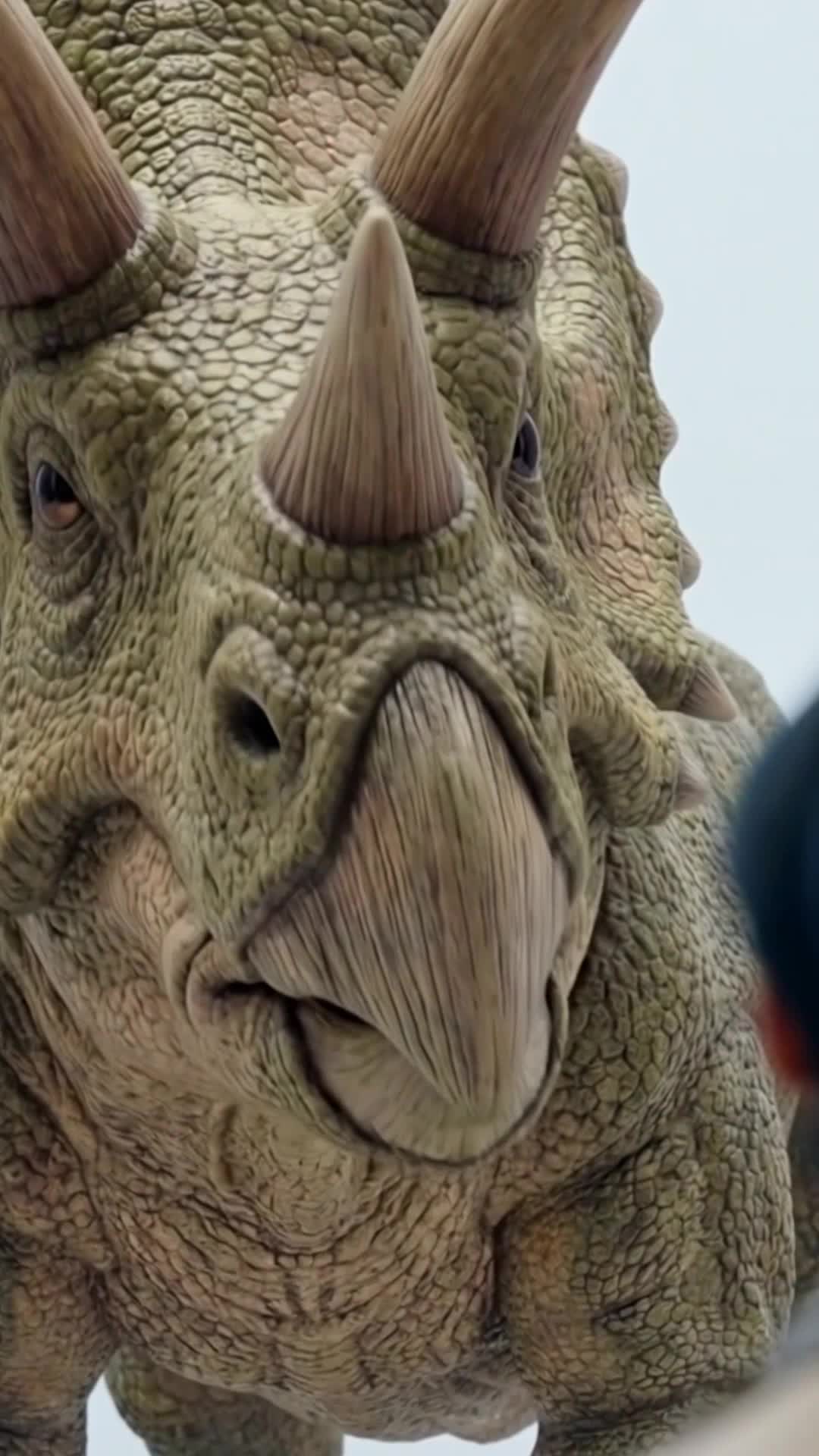 They Gave Me a Zoo, I Built a Dinosaur Empire Episode 4