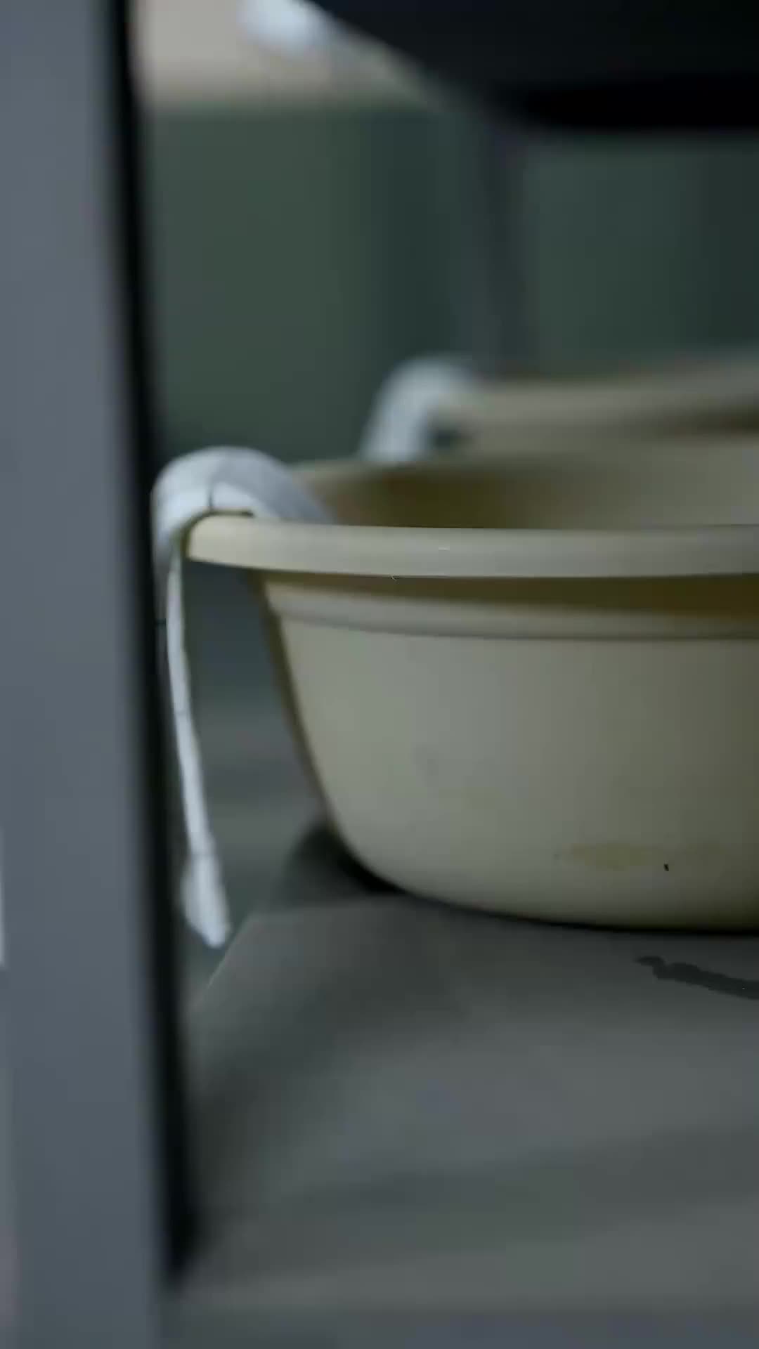  Atenção! A Lenda Viva Saiu da Prisão (Dublado) 1Episódio