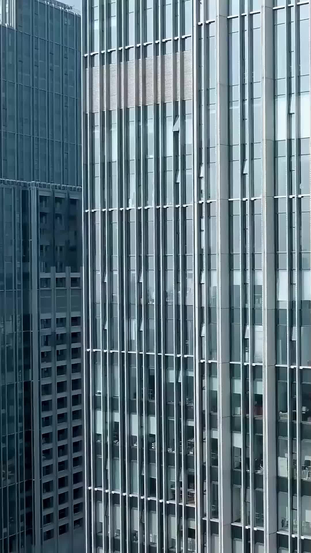 고향의 달 제5회