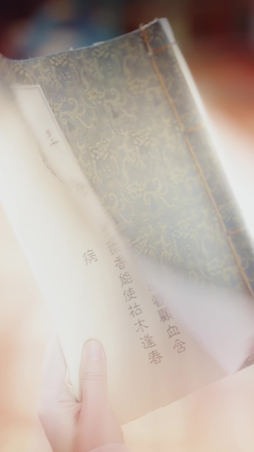 凤凰劫 第2集