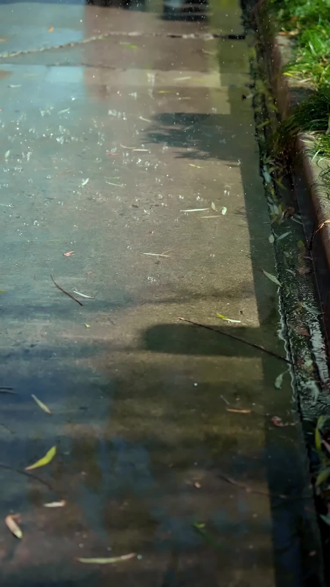 Ep 2