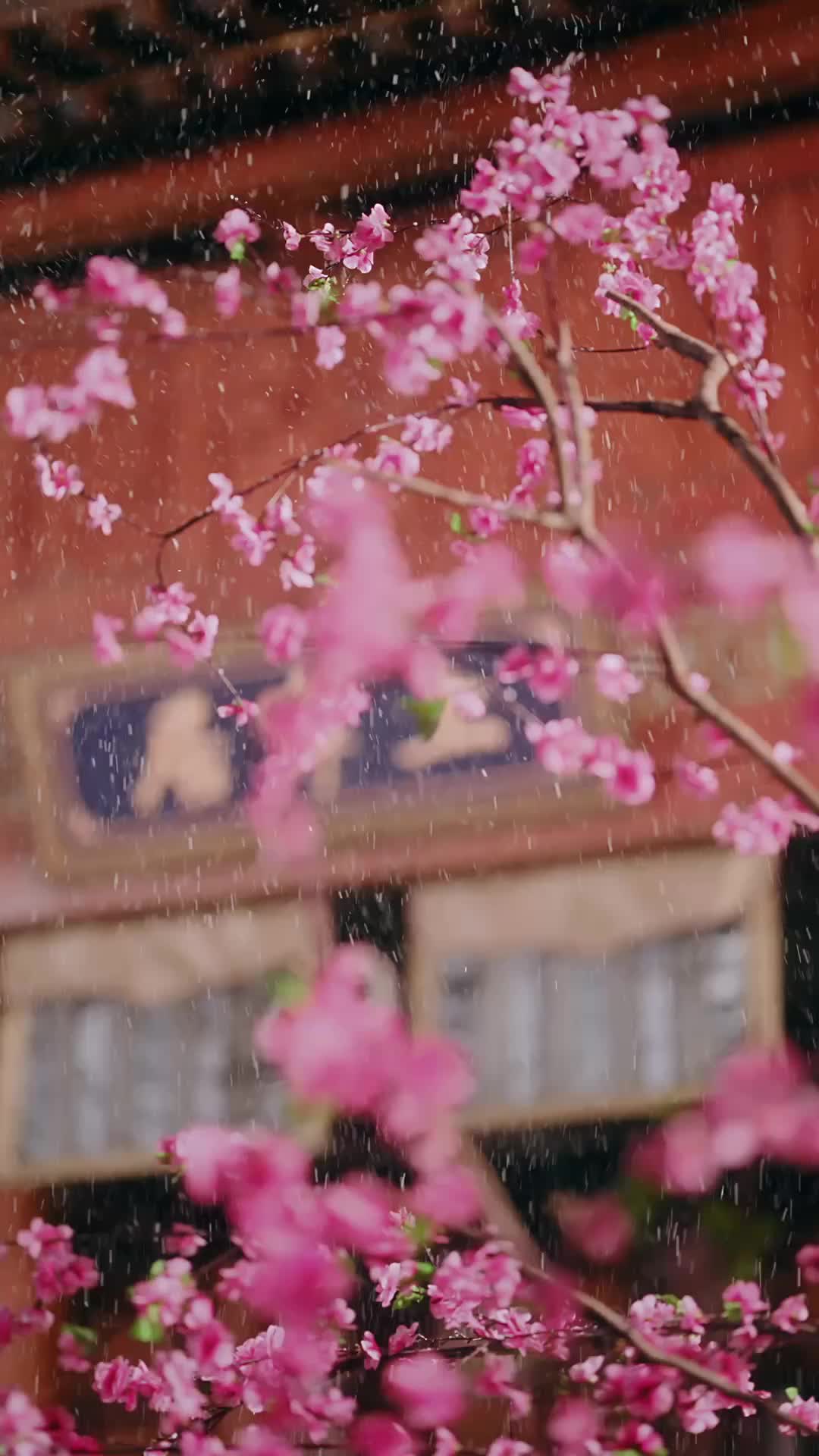Ep 1