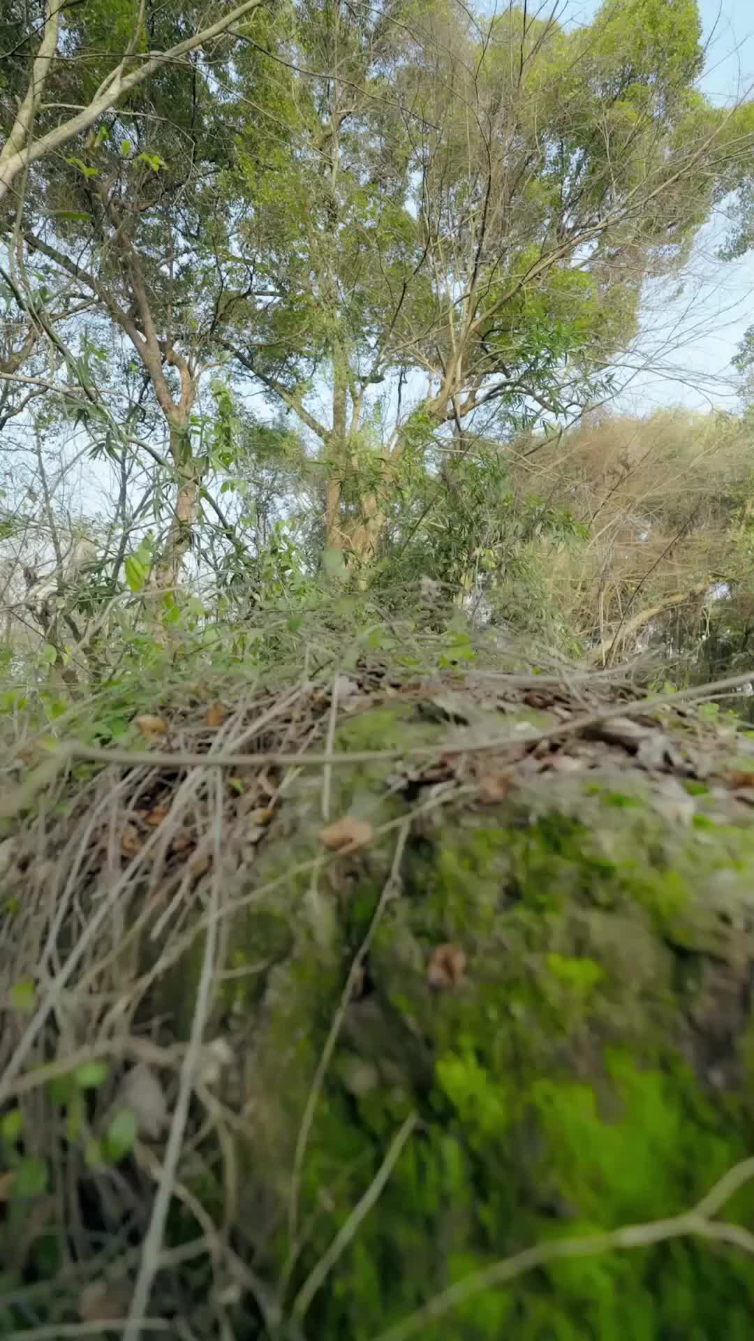 Ep 1