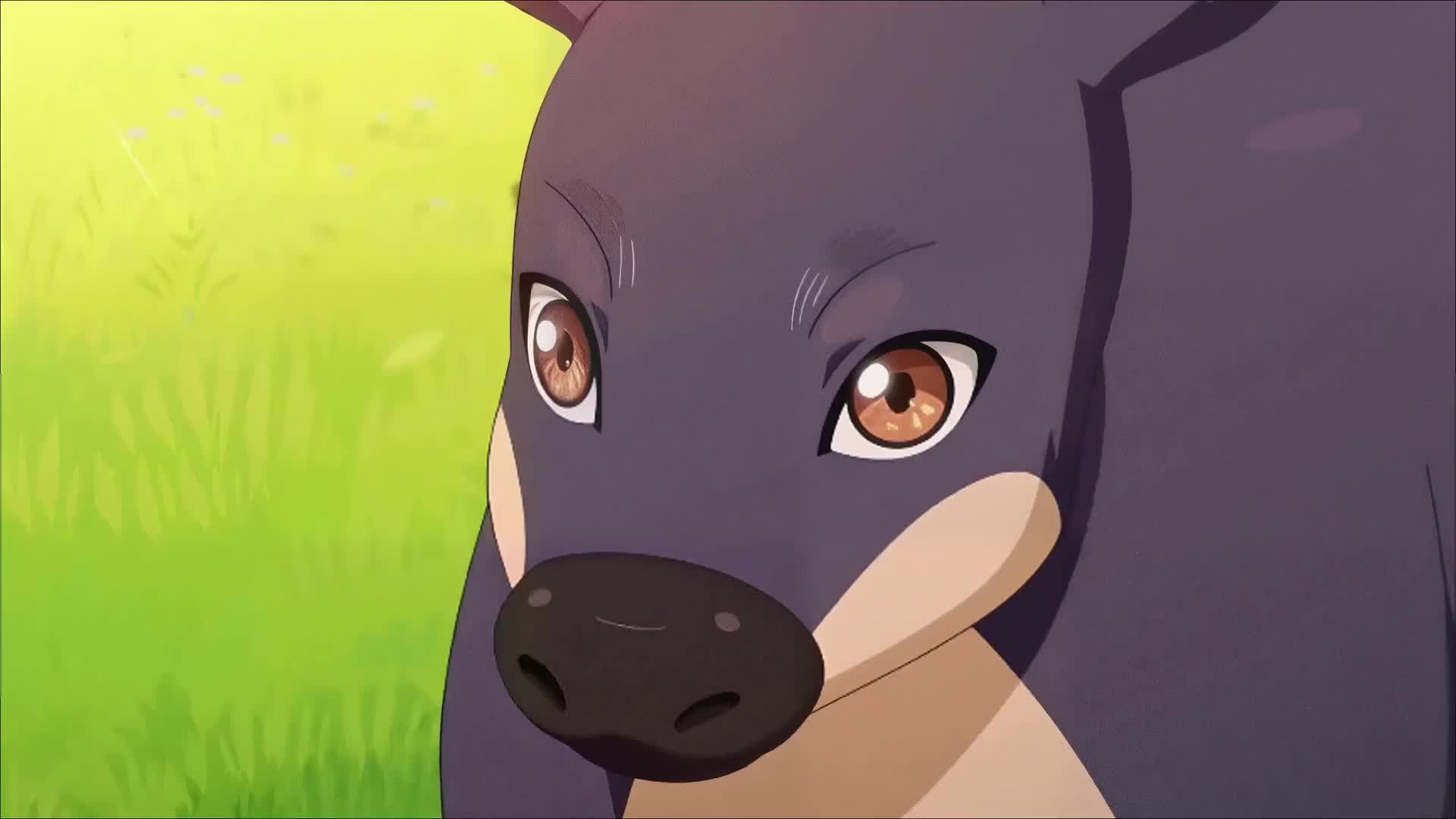 Ep 11