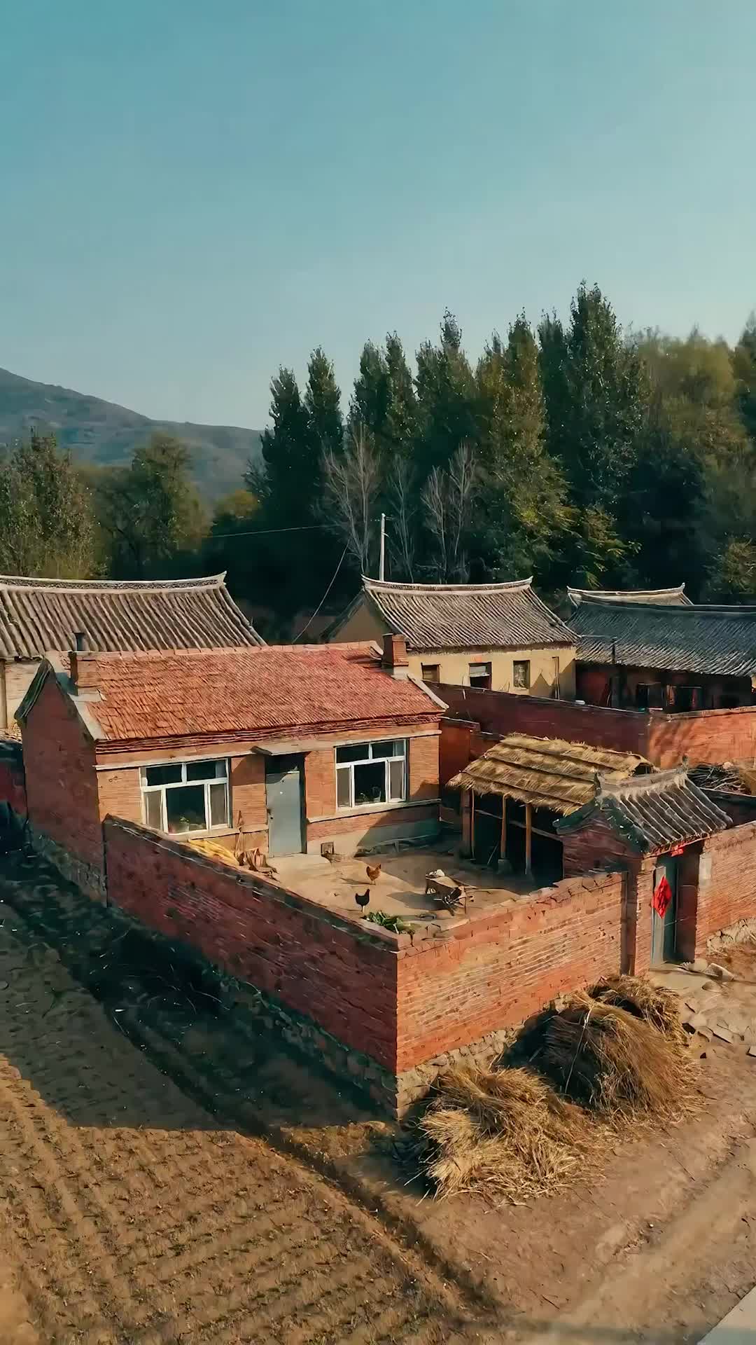 零五致富,全家悔不当初 第1集