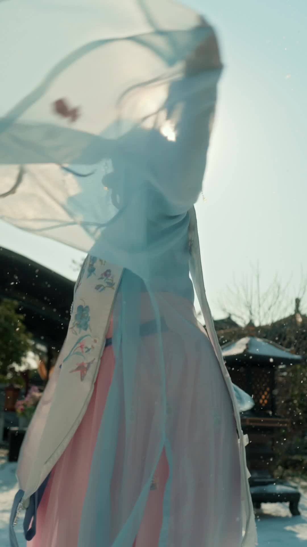 穿成太后：閨蜜陪我後宮稱霸 第1集