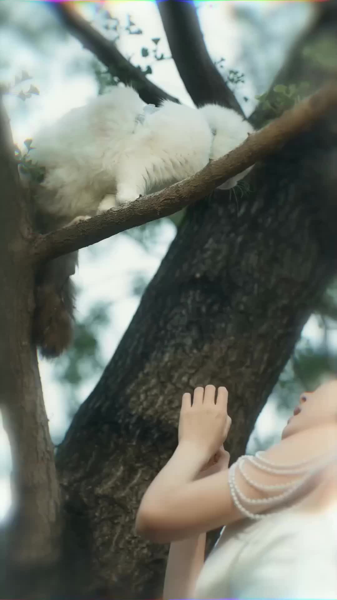 Cinta Beracun - Episode 24 - Episode 24