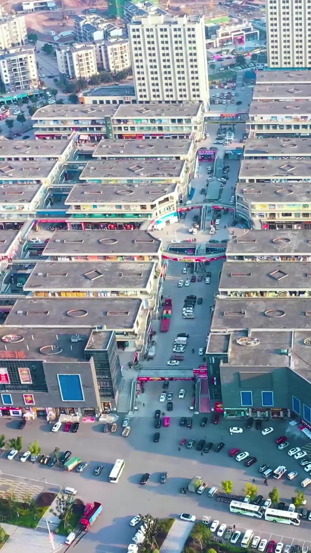 卖鱼王 第1集