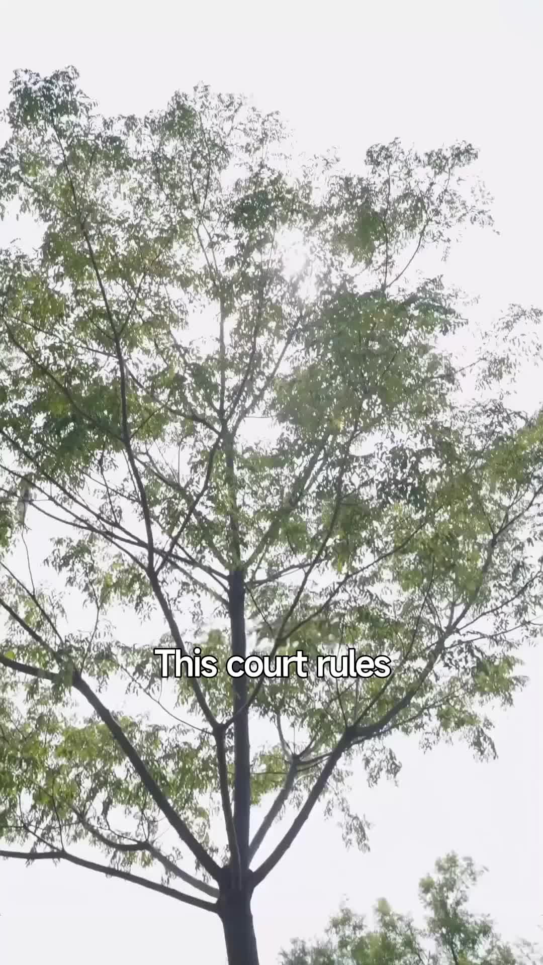 Ep 84