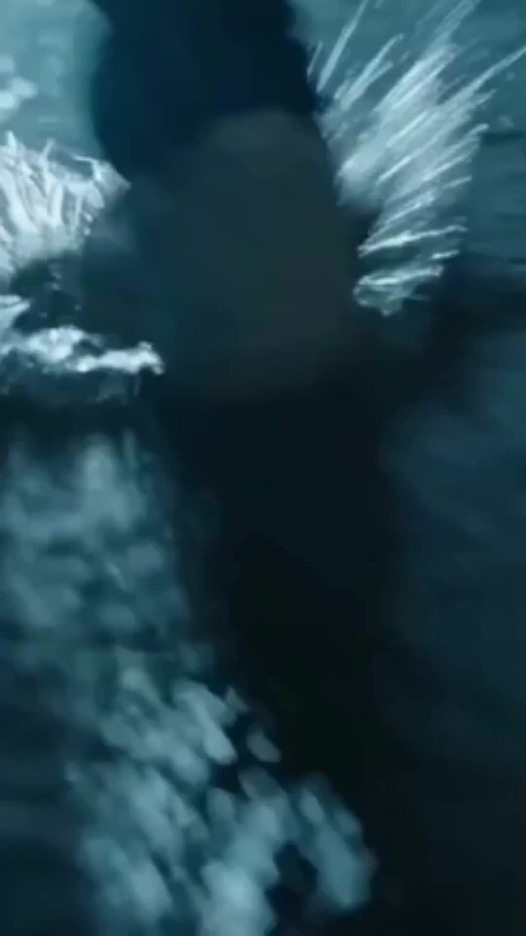 不離婚，不分床！沈小姐哄崽追夫火葬場 第1集