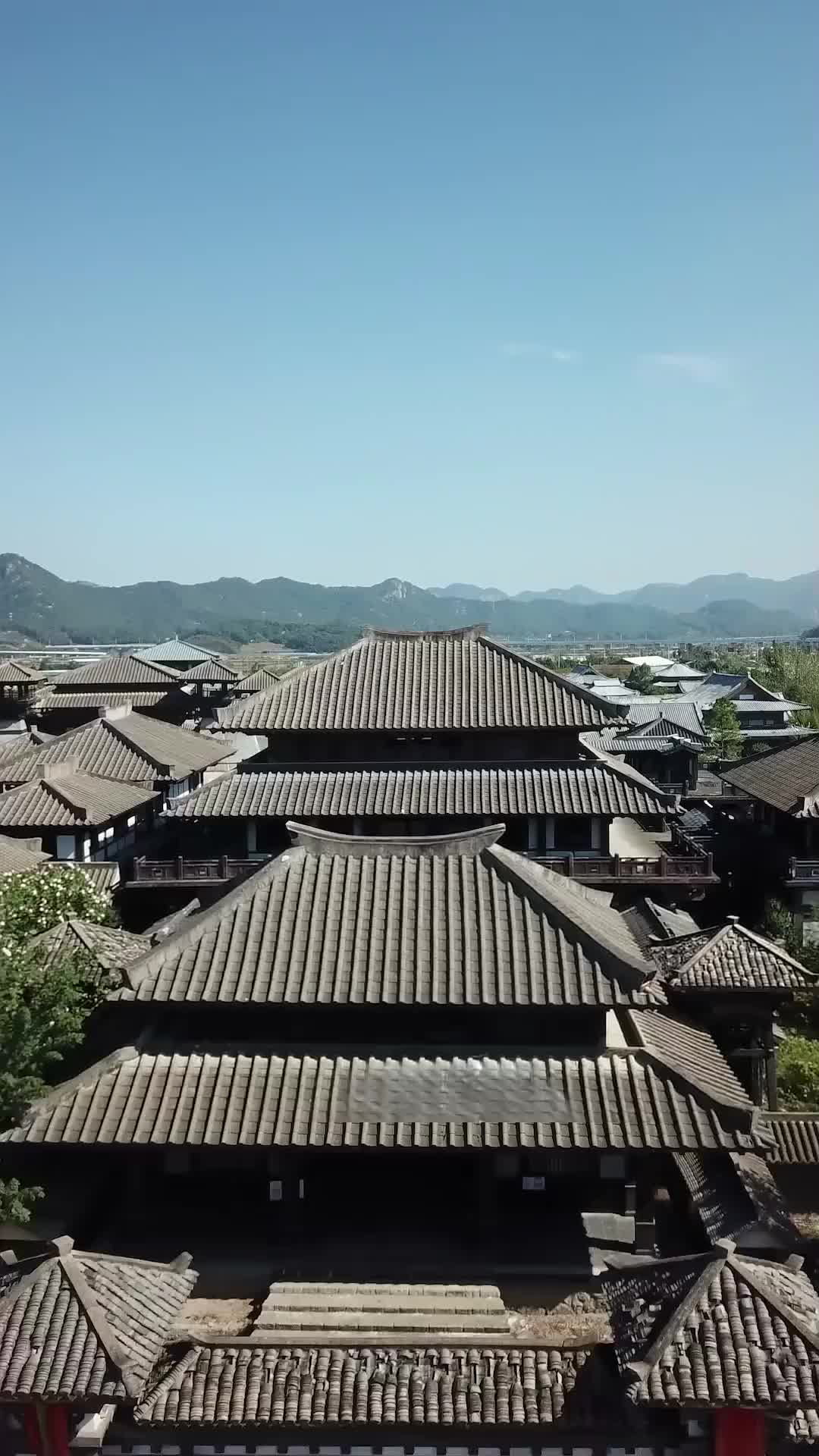 Ep 8
