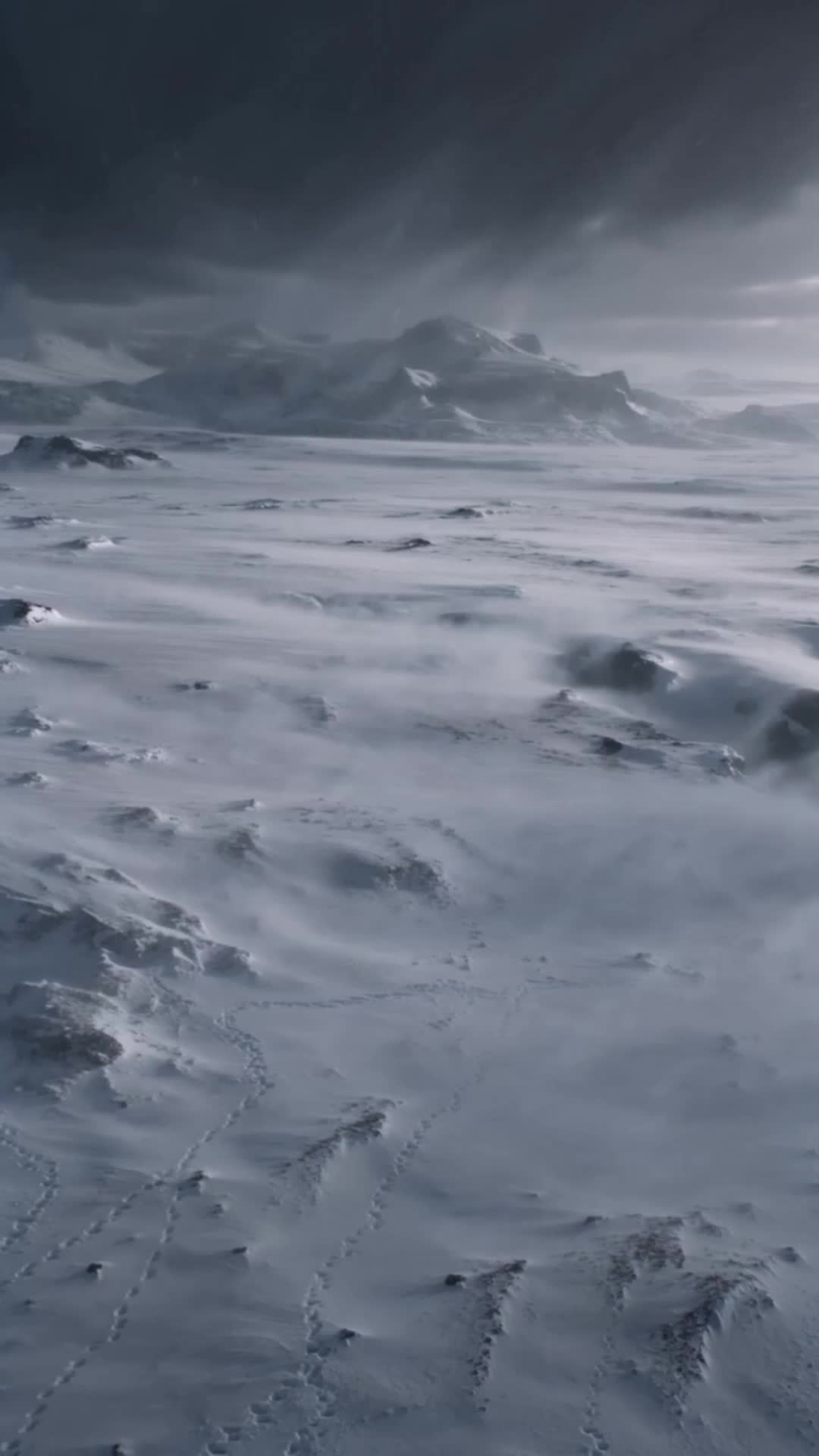The Blackened Saintess and Her War Dog Episode 7