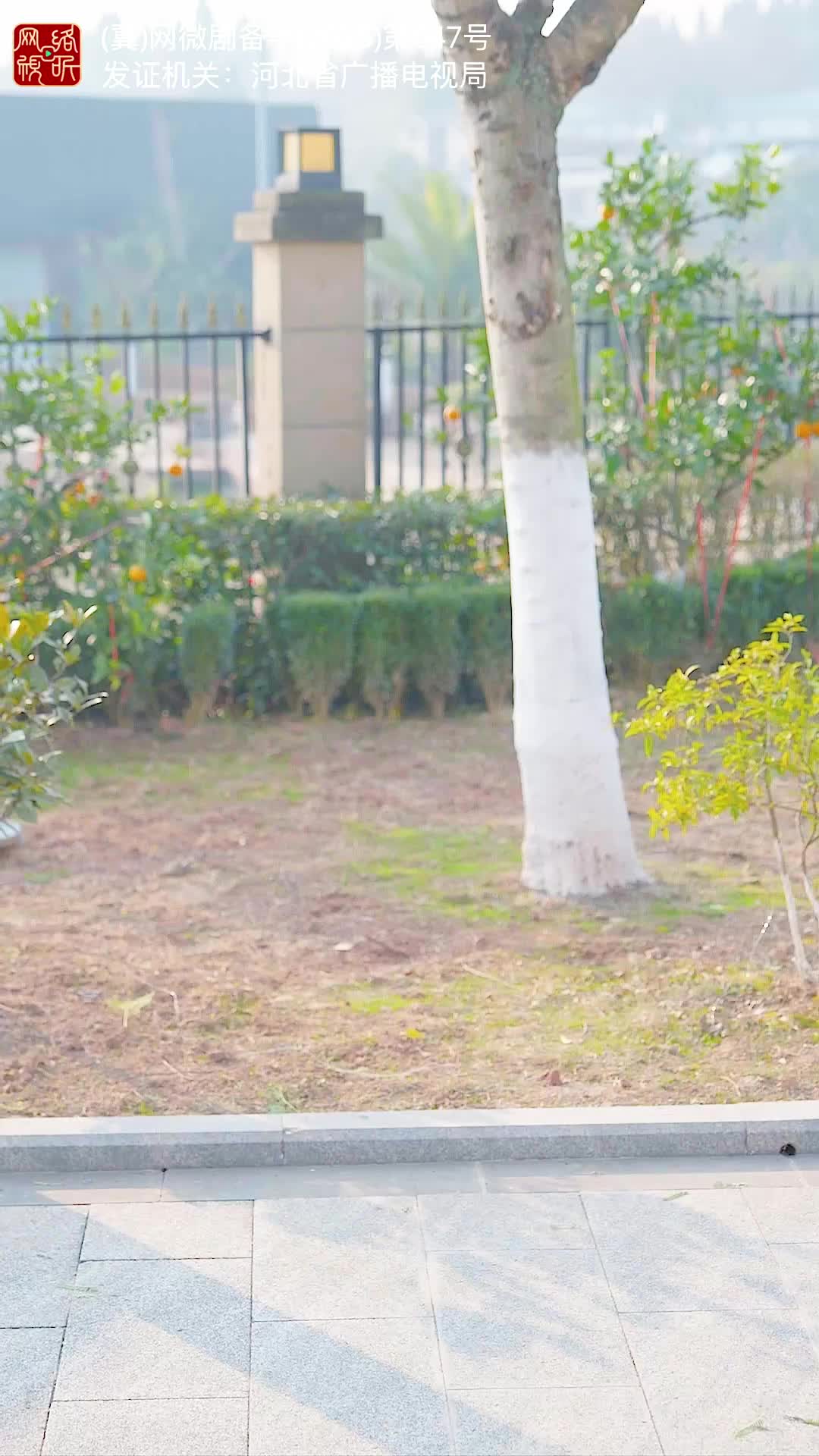修真奶爸不好惹 第11集