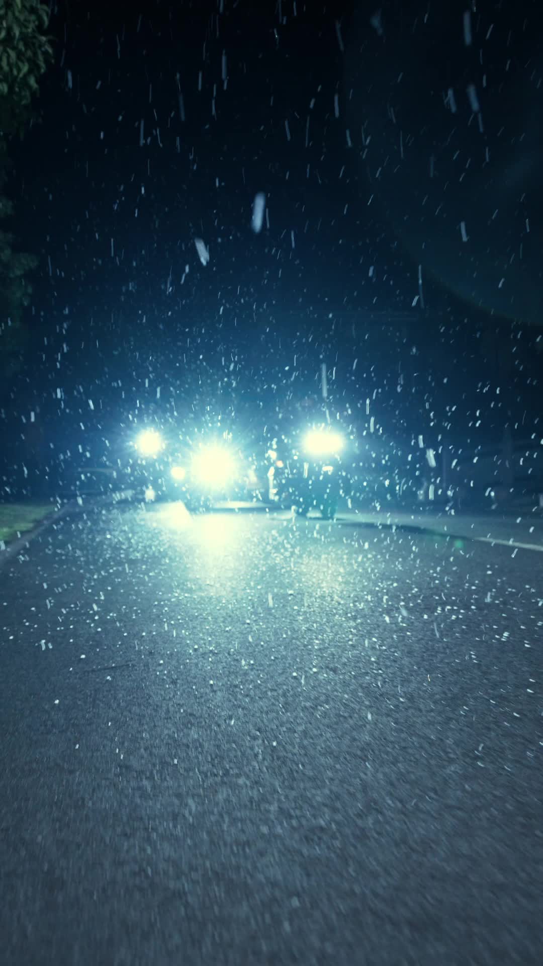 一往情長 第1集