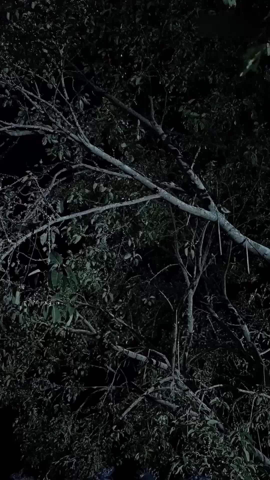 (Dublajlı) Yeminin Bedeli, Aşkın Zaferi Böl. 1