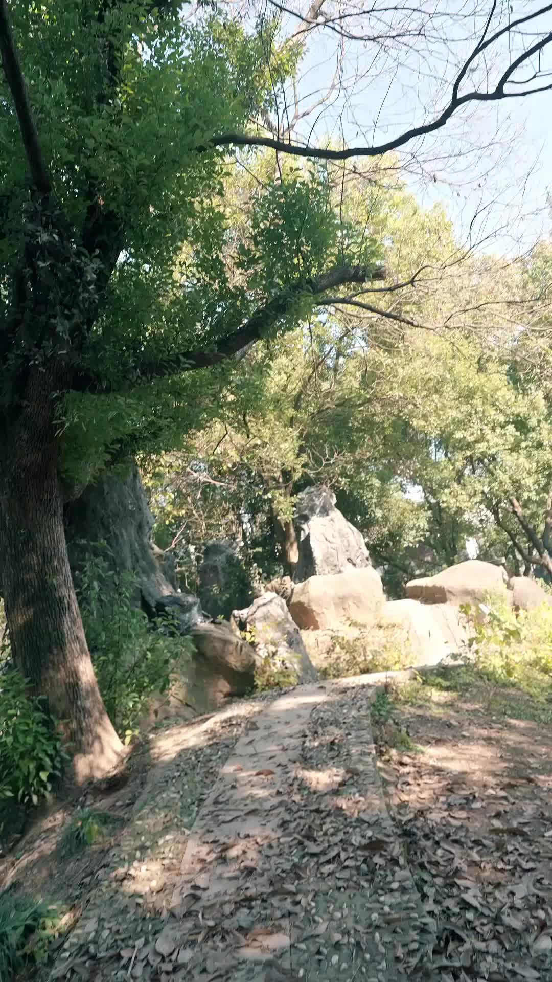 Ep 1
