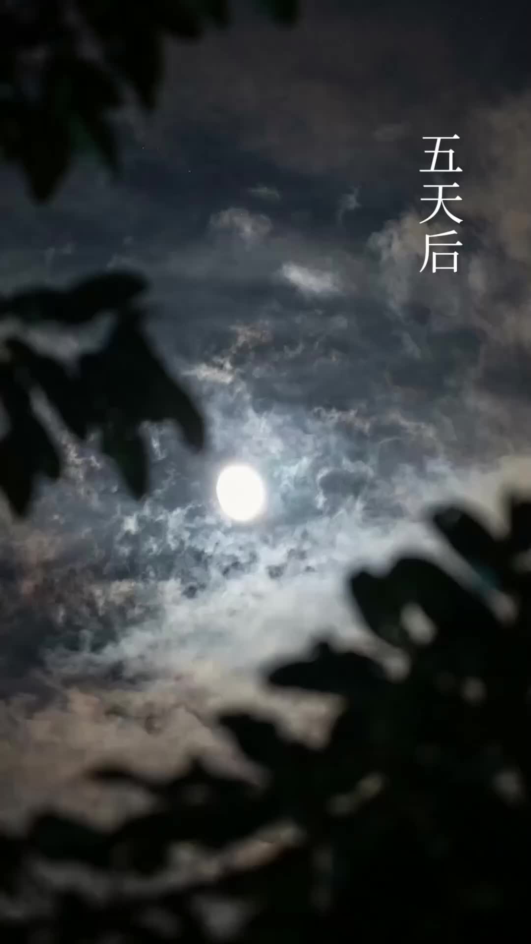 Cuando la luna ya no vuelva Episodio 10