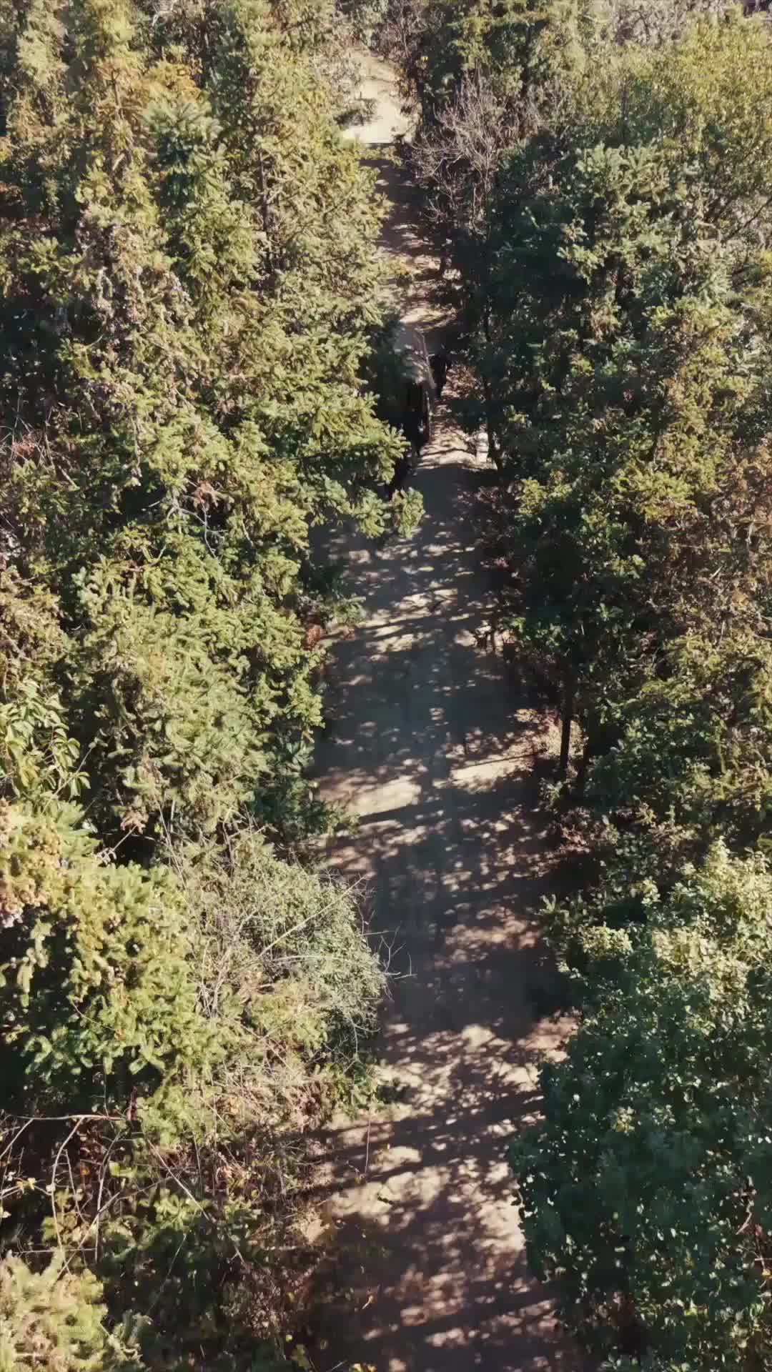 Ep 6