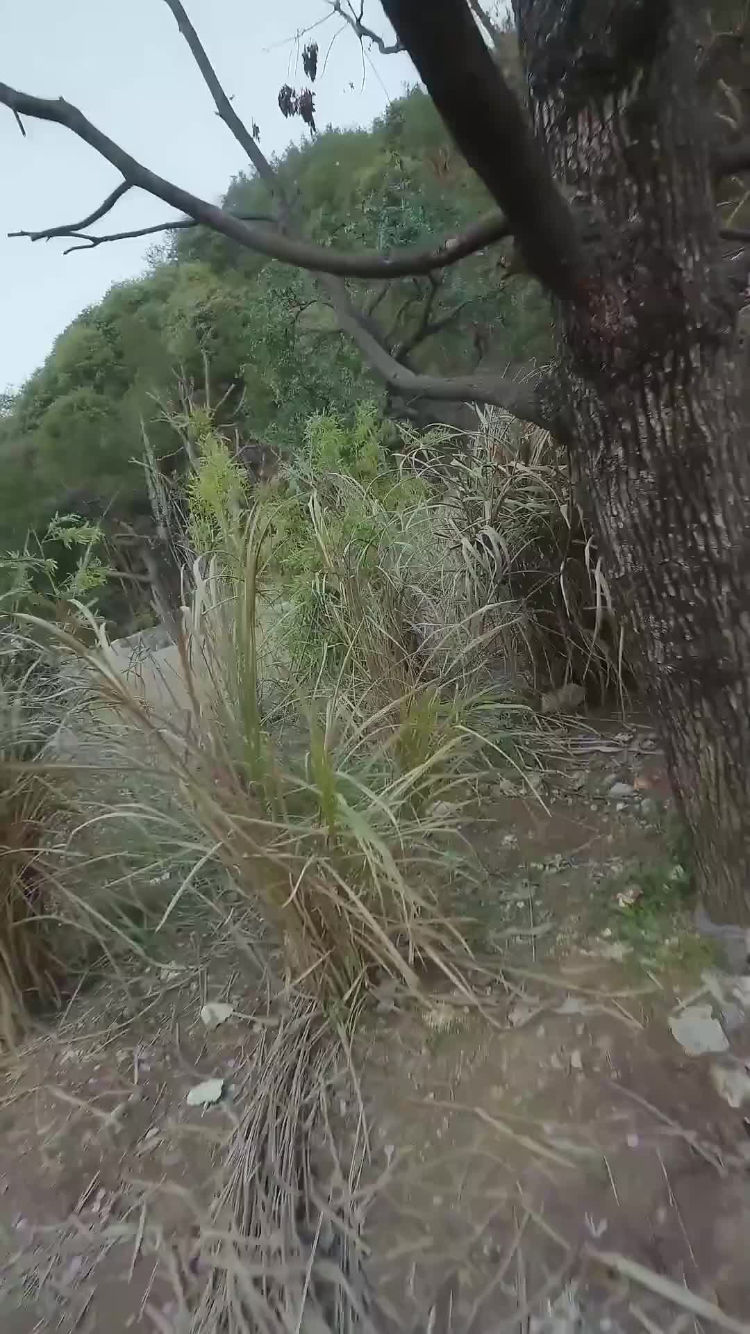 Ep 32