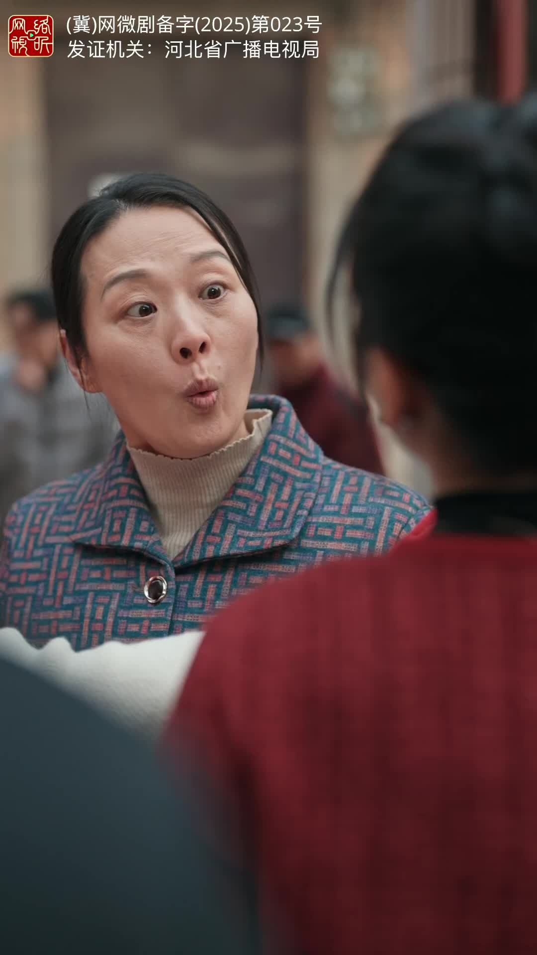 正月初二，回娘家 第9集