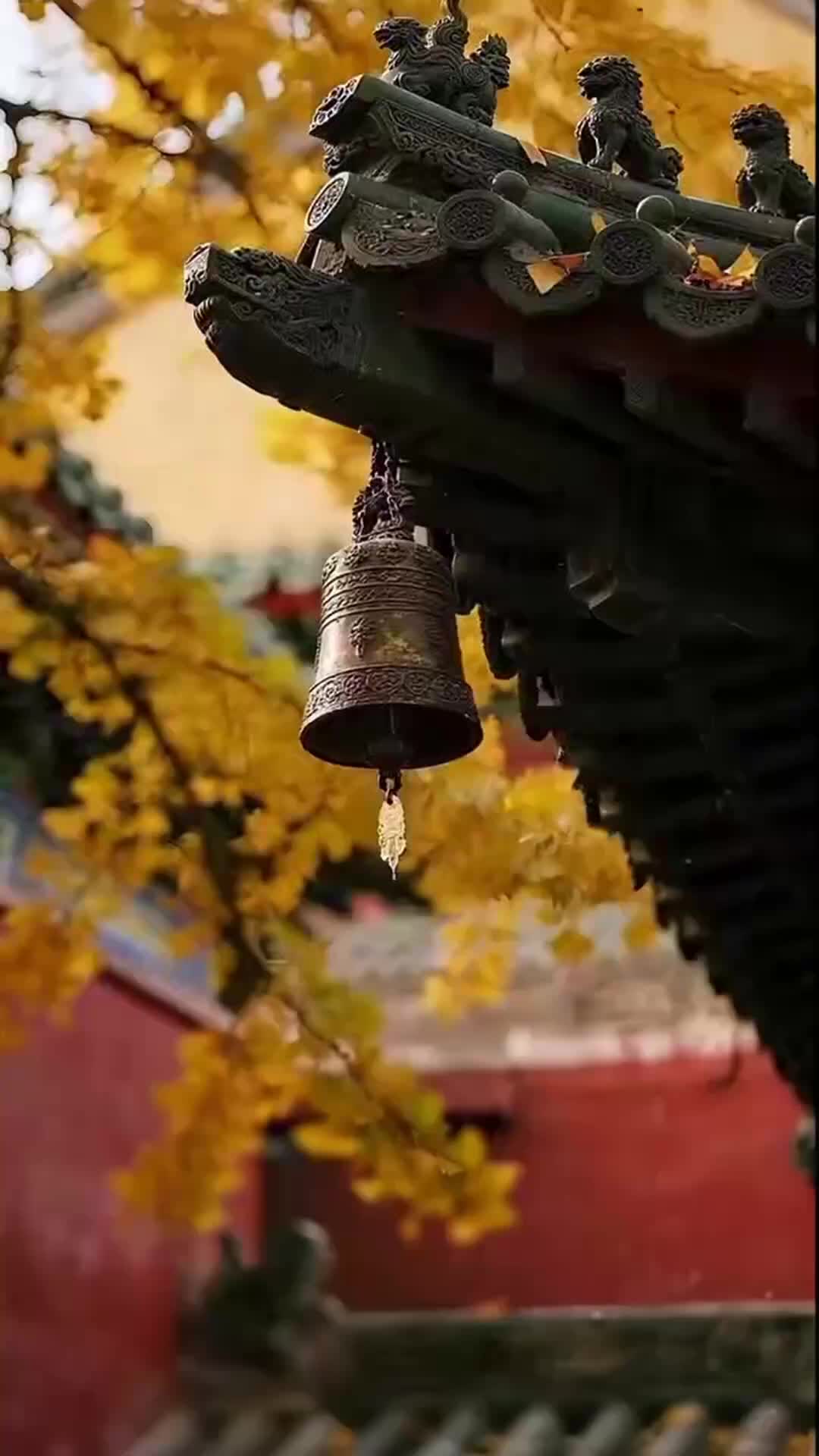 Ep 35