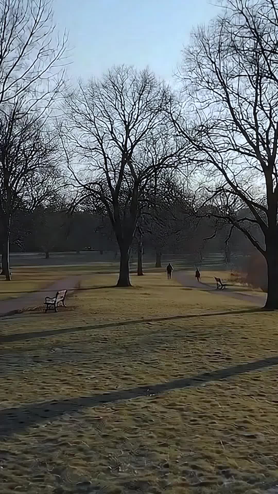 Meta Cinta - Episode 31 - Episode 31