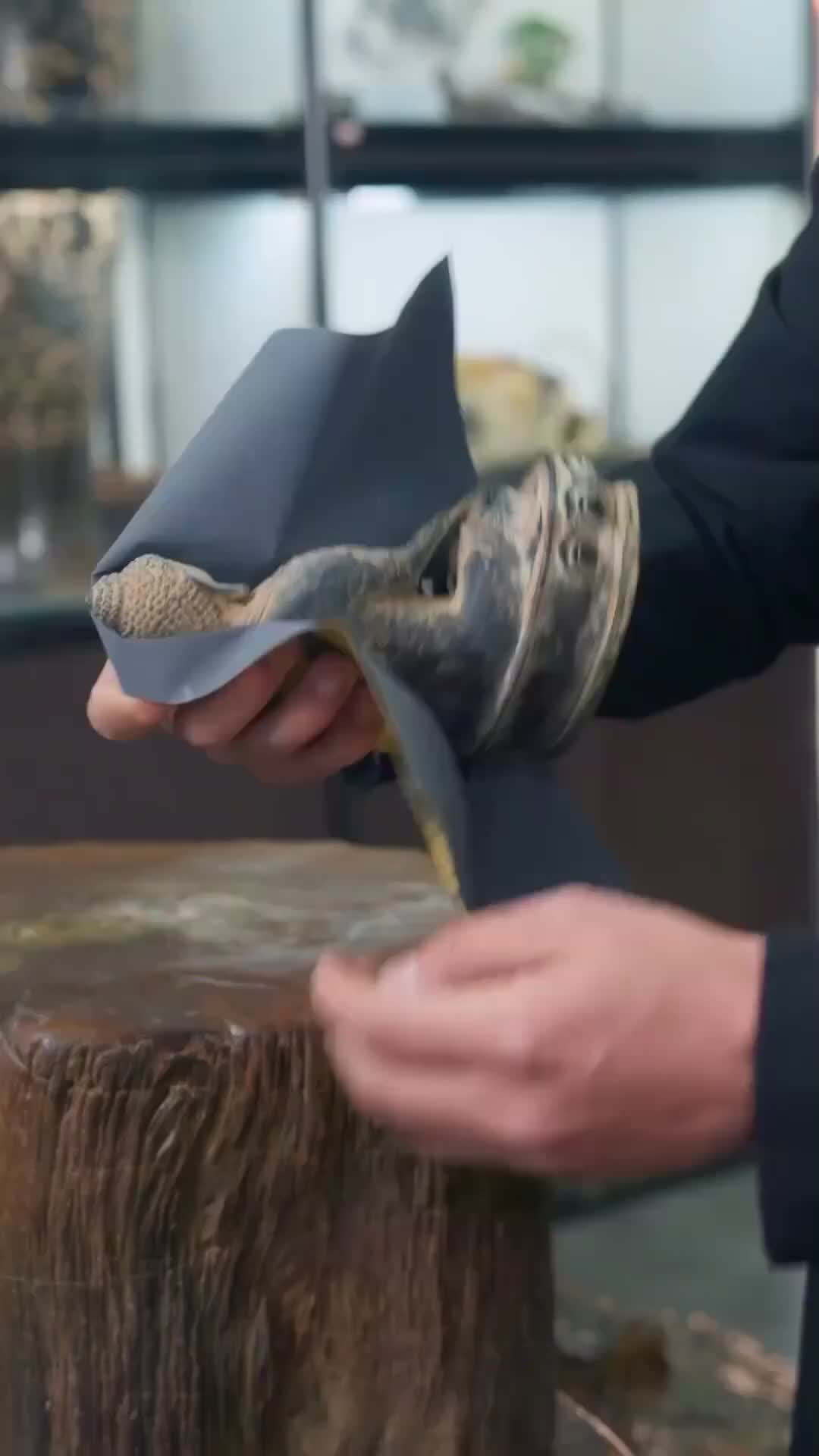 Ep 58