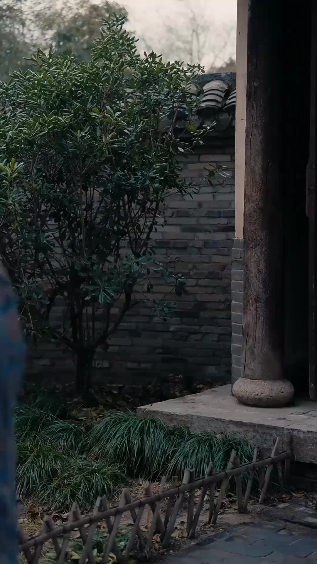 Ep 37