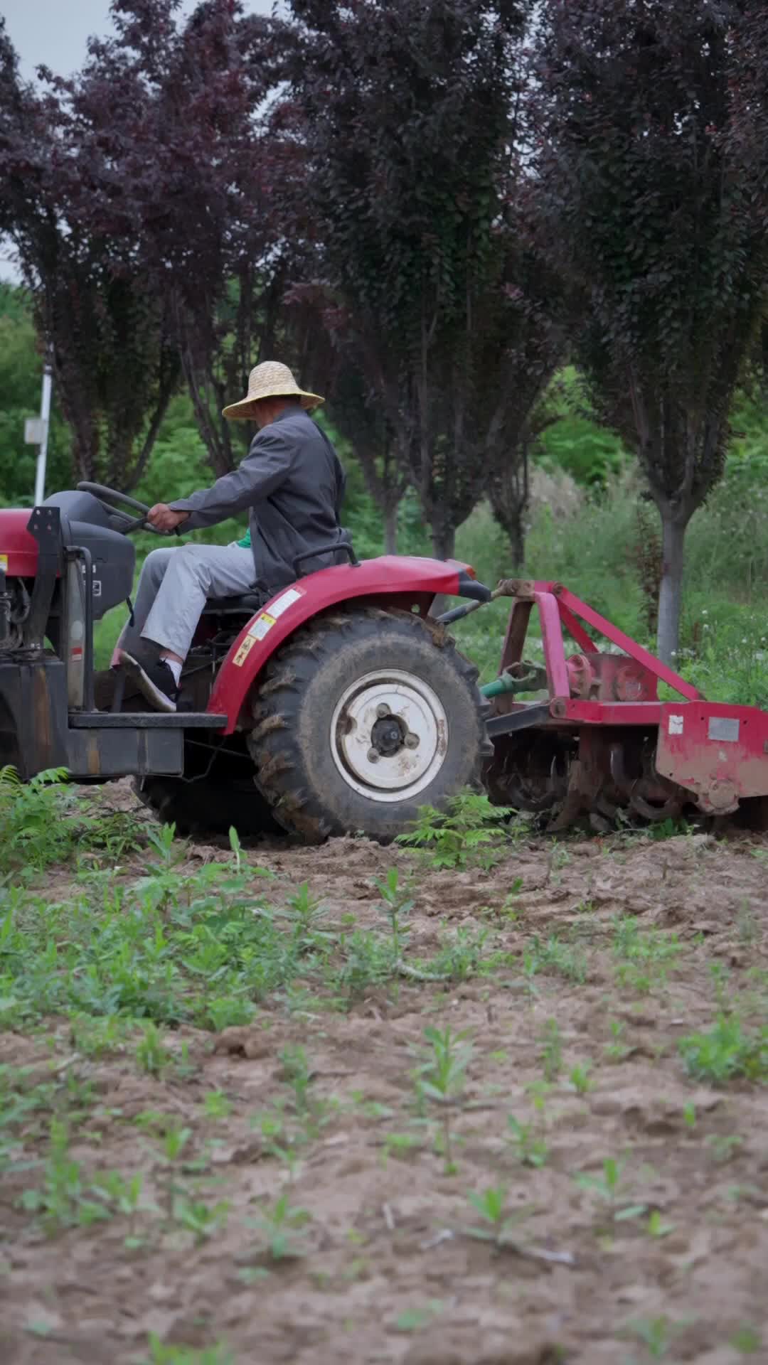 They Bought Houses, I Built a Fortune Episode 11