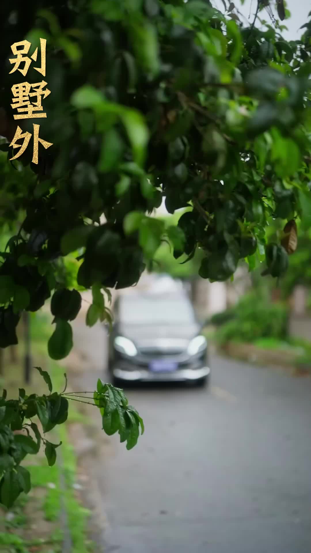 Ep 14